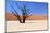 Sossusvlei Dead Valley Landscape in the Nanib Desert near Sesriem-Carlos Neto-Mounted Photographic Print