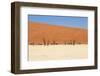 Sossusvlei Dead Valley Landscape in the Nanib Desert near Sesriem-Carlos Neto-Framed Photographic Print