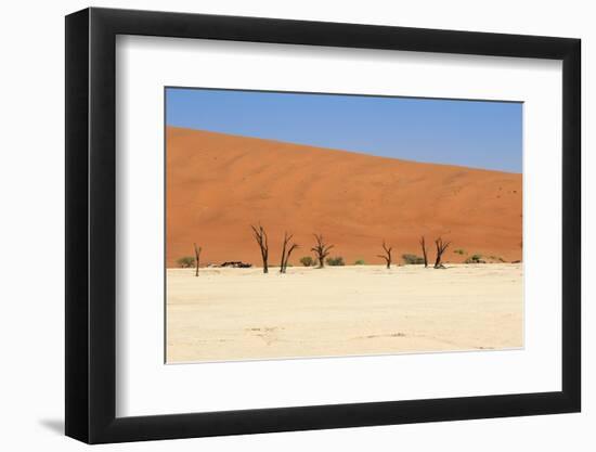 Sossusvlei Dead Valley Landscape in the Nanib Desert near Sesriem-Carlos Neto-Framed Photographic Print