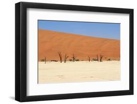 Sossusvlei Dead Valley Landscape in the Nanib Desert near Sesriem-Carlos Neto-Framed Photographic Print