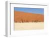 Sossusvlei Dead Valley Landscape in the Nanib Desert near Sesriem-Carlos Neto-Framed Photographic Print