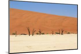 Sossusvlei Dead Valley Landscape in the Nanib Desert near Sesriem-Carlos Neto-Mounted Photographic Print