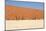 Sossusvlei Dead Valley Landscape in the Nanib Desert near Sesriem-Carlos Neto-Mounted Photographic Print