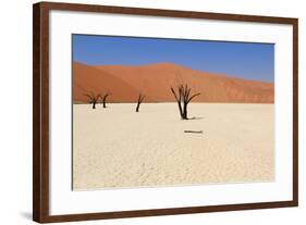 Sossusvlei Dead Valley Landscape in the Nanib Desert near Sesriem-Carlos Neto-Framed Photographic Print