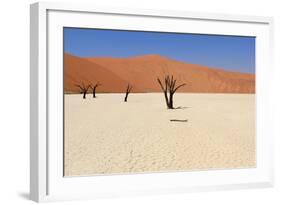 Sossusvlei Dead Valley Landscape in the Nanib Desert near Sesriem-Carlos Neto-Framed Photographic Print