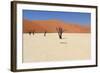 Sossusvlei Dead Valley Landscape in the Nanib Desert near Sesriem-Carlos Neto-Framed Photographic Print
