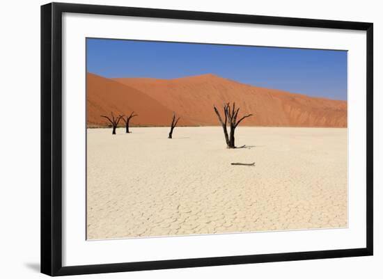 Sossusvlei Dead Valley Landscape in the Nanib Desert near Sesriem-Carlos Neto-Framed Photographic Print