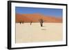 Sossusvlei Dead Valley Landscape in the Nanib Desert near Sesriem-Carlos Neto-Framed Photographic Print