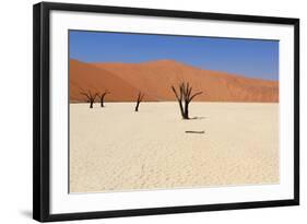 Sossusvlei Dead Valley Landscape in the Nanib Desert near Sesriem-Carlos Neto-Framed Photographic Print