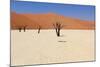 Sossusvlei Dead Valley Landscape in the Nanib Desert near Sesriem-Carlos Neto-Mounted Photographic Print