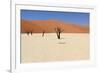 Sossusvlei Dead Valley Landscape in the Nanib Desert near Sesriem-Carlos Neto-Framed Photographic Print