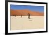 Sossusvlei Dead Valley Landscape in the Nanib Desert near Sesriem-Carlos Neto-Framed Photographic Print