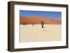 Sossusvlei Dead Valley Landscape in the Nanib Desert near Sesriem-Carlos Neto-Framed Photographic Print