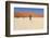 Sossusvlei Dead Valley Landscape in the Nanib Desert near Sesriem-Carlos Neto-Framed Photographic Print