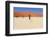 Sossusvlei Dead Valley Landscape in the Nanib Desert near Sesriem-Carlos Neto-Framed Photographic Print