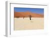 Sossusvlei Dead Valley Landscape in the Nanib Desert near Sesriem-Carlos Neto-Framed Photographic Print