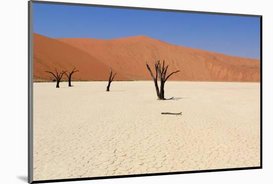 Sossusvlei Dead Valley Landscape in the Nanib Desert near Sesriem-Carlos Neto-Mounted Photographic Print