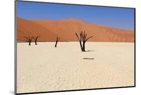 Sossusvlei Dead Valley Landscape in the Nanib Desert near Sesriem-Carlos Neto-Mounted Photographic Print