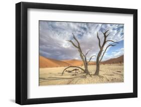 Sossusvlei Deadvlei Trees, Dunes-Otto du Plessis-Framed Photographic Print