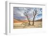 Sossusvlei Deadvlei Trees, Dunes-Otto du Plessis-Framed Photographic Print