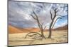 Sossusvlei Deadvlei Trees, Dunes-Otto du Plessis-Mounted Photographic Print