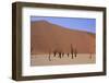 Sossusvlei Dune National Park-GailJohnson-Framed Photographic Print