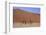 Sossusvlei Dune National Park-GailJohnson-Framed Photographic Print