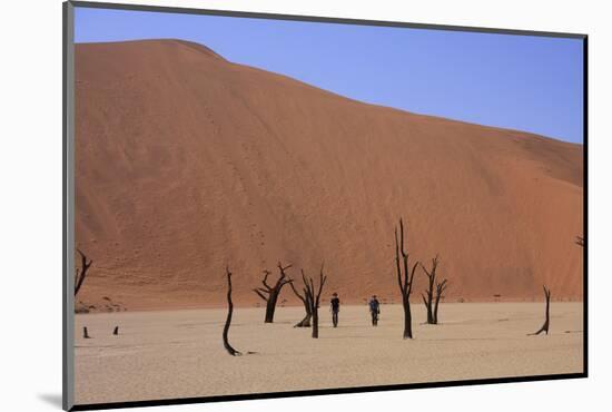 Sossusvlei Dune National Park-GailJohnson-Mounted Photographic Print