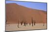 Sossusvlei Dune National Park-GailJohnson-Mounted Photographic Print