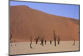 Sossusvlei Dune National Park-GailJohnson-Mounted Photographic Print