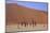 Sossusvlei Dune National Park-GailJohnson-Mounted Photographic Print