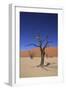 Sossusvlei Dune National Park-GailJohnson-Framed Photographic Print