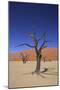 Sossusvlei Dune National Park-GailJohnson-Mounted Photographic Print