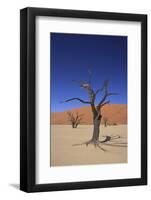 Sossusvlei Dune National Park-GailJohnson-Framed Photographic Print