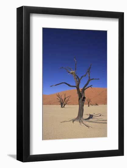 Sossusvlei Dune National Park-GailJohnson-Framed Photographic Print