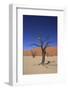 Sossusvlei Dune National Park-GailJohnson-Framed Photographic Print