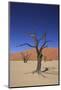 Sossusvlei Dune National Park-GailJohnson-Mounted Photographic Print