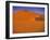 Sossusvlei Dune, Naukluft Park, Central Namib, Namibia-Walter Bibikow-Framed Photographic Print