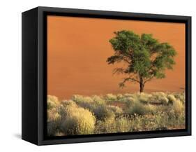 Sossusvlei Dunes, Namib National Park, Namibia-Art Wolfe-Framed Stretched Canvas