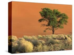 Sossusvlei Dunes, Namib National Park, Namibia-Art Wolfe-Stretched Canvas