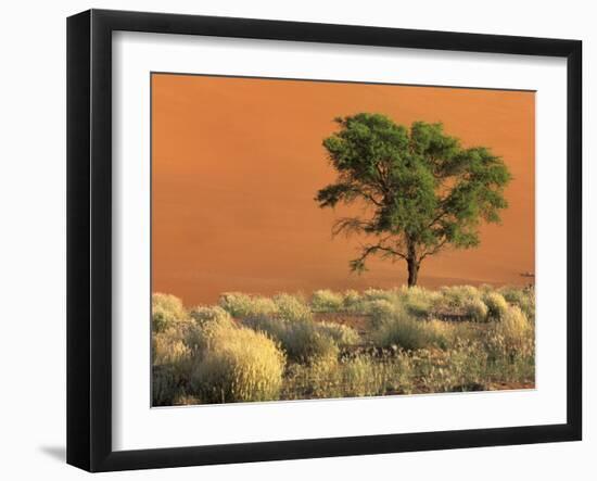 Sossusvlei Dunes, Namib National Park, Namibia-Art Wolfe-Framed Premium Photographic Print