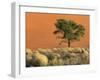 Sossusvlei Dunes, Namib National Park, Namibia-Art Wolfe-Framed Premium Photographic Print