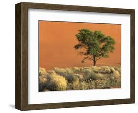 Sossusvlei Dunes, Namib National Park, Namibia-Art Wolfe-Framed Photographic Print