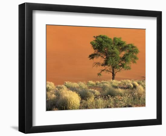 Sossusvlei Dunes, Namib National Park, Namibia-Art Wolfe-Framed Photographic Print