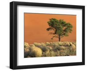 Sossusvlei Dunes, Namib National Park, Namibia-Art Wolfe-Framed Photographic Print