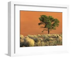 Sossusvlei Dunes, Namib National Park, Namibia-Art Wolfe-Framed Photographic Print