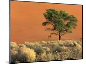 Sossusvlei Dunes, Namib National Park, Namibia-Art Wolfe-Mounted Photographic Print