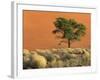 Sossusvlei Dunes, Namib National Park, Namibia-Art Wolfe-Framed Photographic Print