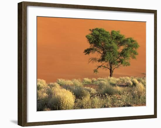 Sossusvlei Dunes, Namib National Park, Namibia-Art Wolfe-Framed Photographic Print