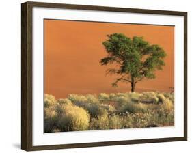 Sossusvlei Dunes, Namib National Park, Namibia-Art Wolfe-Framed Photographic Print